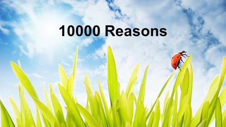 10000 Reasons.