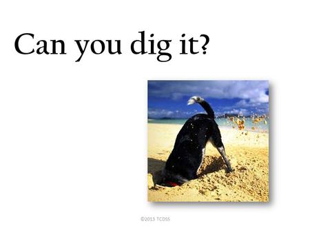 Can you dig it? ©2013 TCDSS. “ a problem well put is half solved.” -John Dewey “It's so much easier to suggest solutions when you don't know too much.