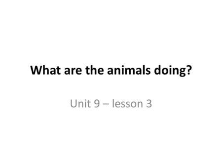 What are the animals doing?