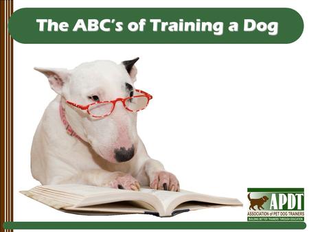 The ABC’s of Training a Dog. Every Day Counts Every moment that you spend with your dog is an opportunity to teach him something (good or bad).