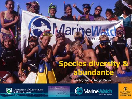Species diversity & abundance Photograph © Indigo Pacific.