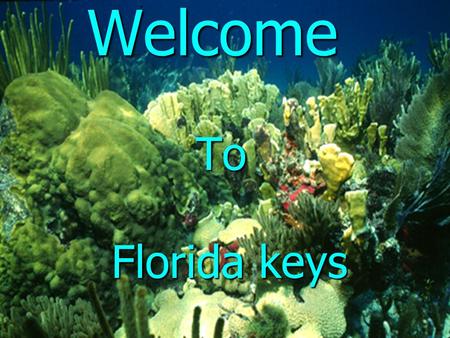 Welcome To Florida keys.