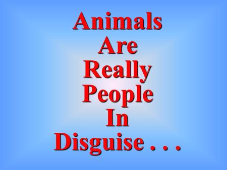 Animals Are Really People In Disguise... What part of quiet didn’t you understand??