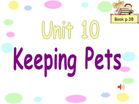 Book p.38 How many pets are in the pet shop? What may we see there today? Are there rabbits and mice hamsters and rats sleeping in nests of hay? Is there.