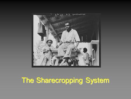 The Sharecropping System