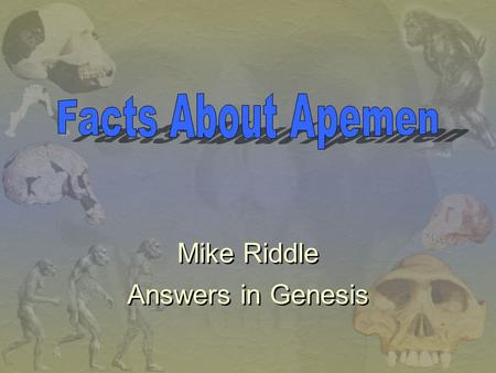 Facts About Apemen Mike Riddle Answers in Genesis.