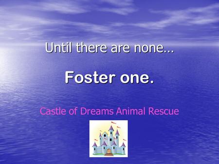 Until there are none… Foster one. Castle of Dreams Animal Rescue.