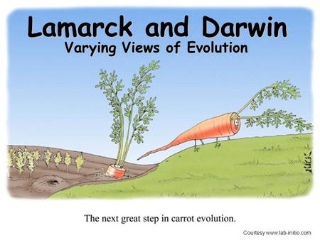 Varying Views of Evolution