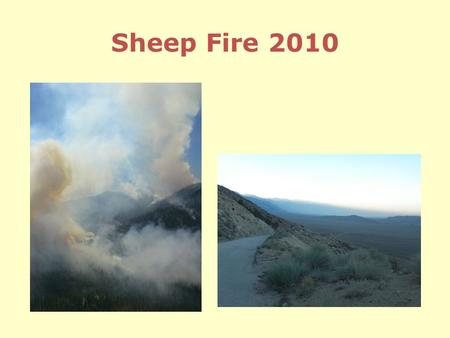 Sheep Fire 2010. Issues Firefighter and public safety Sheep Creek watershed Powerline corridor to Cedar Grove Cedar Grove infrastructure Impact on.