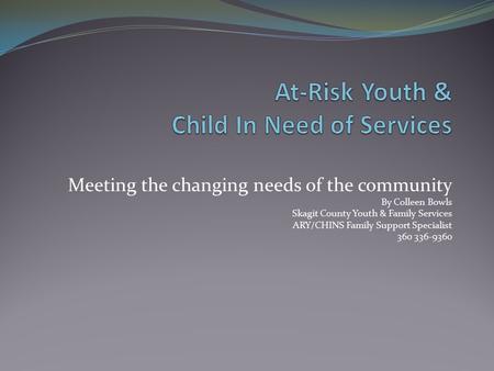 Meeting the changing needs of the community By Colleen Bowls Skagit County Youth & Family Services ARY/CHINS Family Support Specialist 360 336-9360.