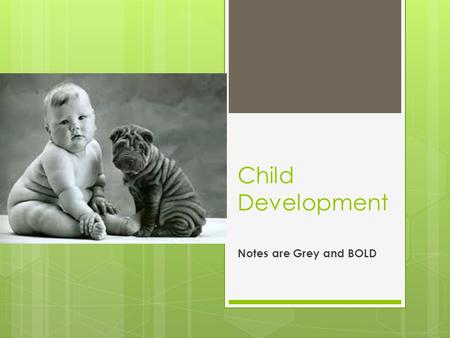 Child Development Notes are Grey and BOLD.