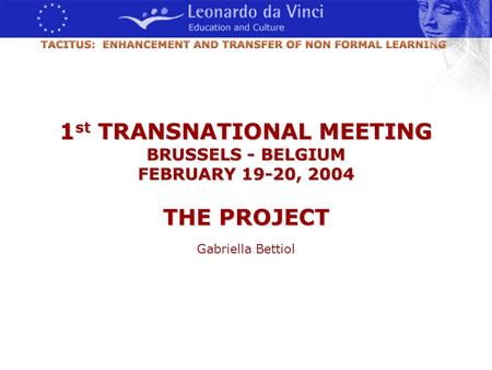 1 st TRANSNATIONAL MEETING BRUSSELS - BELGIUM FEBRUARY 19-20, 2004 THE PROJECT Gabriella Bettiol.