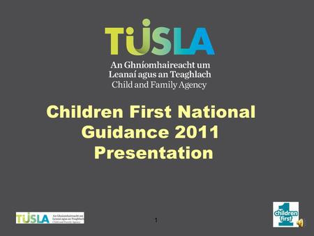 Children First National Guidance 2011 Presentation