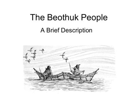 The Beothuk People A Brief Description. Who Were They? Aboriginal people Hunter-gatherers Probably numbered less than a thousand people at the time of.