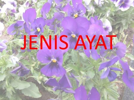 JENIS AYAT.