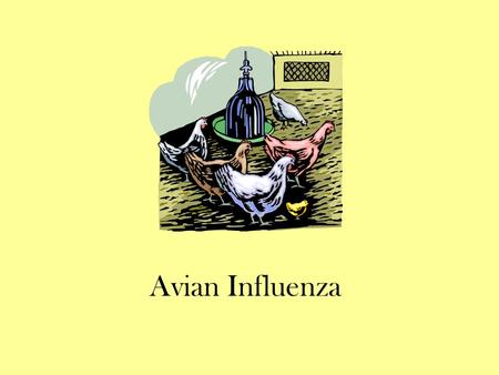 Avian Influenza.