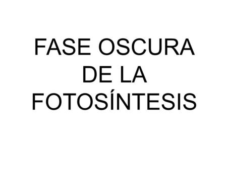 FASE OSCURA DE LA FOTOSÍNTESIS.