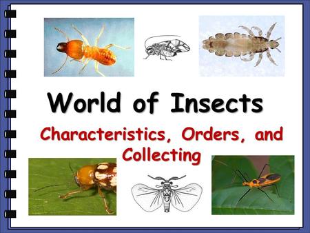 World of Insects Characteristics, Orders, and Collecting.