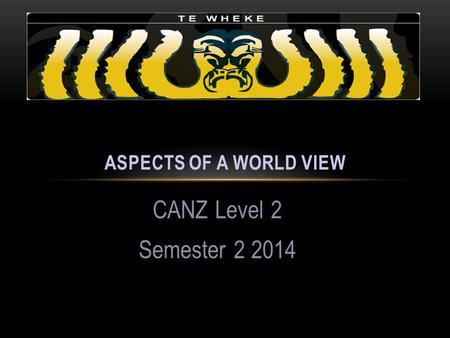 CANZ Level 2 Semester 2 2014 ASPECTS OF A WORLD VIEW.