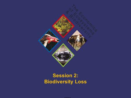 TEEB Training Session 2: Biodiversity Loss ©TEEB.