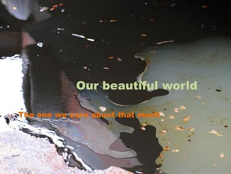 Our beautiful world The one we care about that much.