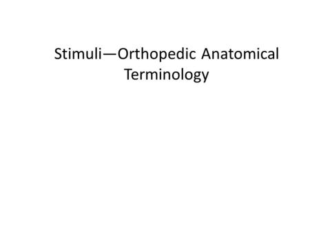 Stimuli—Orthopedic Anatomical Terminology