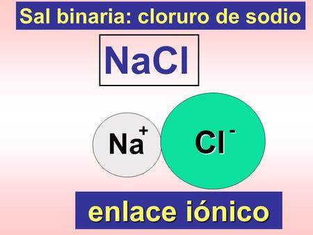 Sal binaria: cloruro de sodio