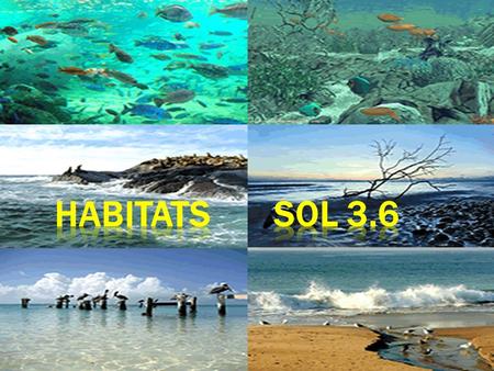 Habitats SOL 3.6.