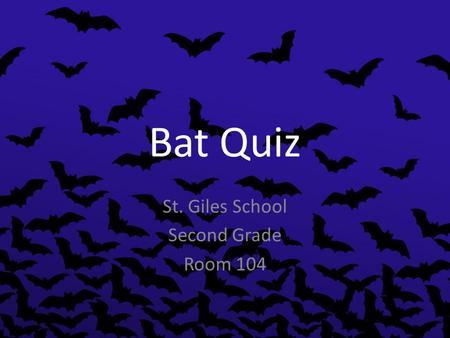 Bat Quiz St. Giles School Second Grade Room 104. How long have bats existed? Scientists have found evidence that bats have existed 50 millon years. --