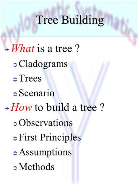 Tree Building What is a tree ? How to build a tree ? Cladograms Trees