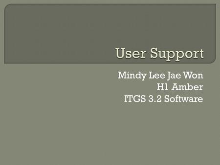 Mindy Lee Jae Won H1 Amber ITGS 3.2 Software. 1. What does User Support mean? 2. What are Manuals? 3. What are Assistants? 4. What are Tutorials? 5. What.