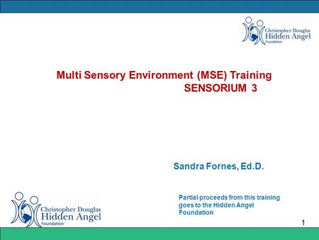 Multi Sensory Environment (MSE) Training SENSORIUM 3