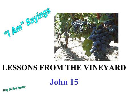 LESSONS FROM THE VINEYARD John 15. Both the Vine and the Vineyard are biblical symbols of Israel. Ps. 80:7-16 Restore us, O God Almighty...You brought.