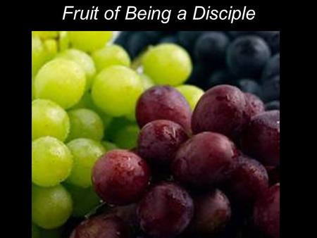Fruit of Being a Disciple. The next day John saw Jesus coming toward him and said, “Behold, the Lamb of God, who takes away the sin of the world!” John.
