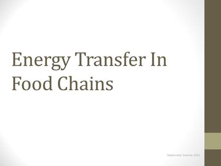 Energy Transfer In Food Chains