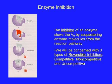 Enzyme Inhibition An inhibitor of an enzyme slows the V0 by sequestering enzyme molecules from the reaction pathway We will be concerned with 3 types of.