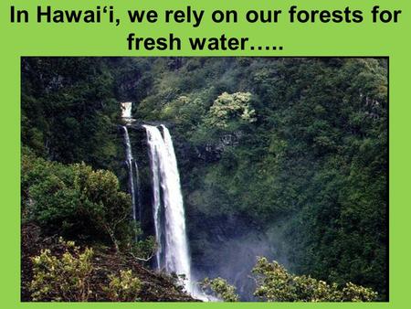 In Hawai‘i, we rely on our forests for fresh water…..