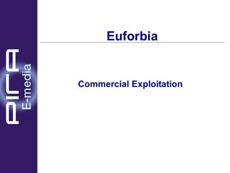 Euforbia Commercial Exploitation. The Players The audience to be barred / protected Parents Officials / Institutions ISPs Content Owners / Distributors.