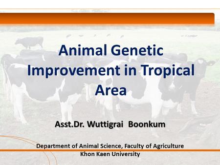 Animal Genetic Improvement in Tropical Area Asst.Dr. Wuttigrai Boonkum Department of Animal Science, Faculty of Agriculture Khon Kaen University.