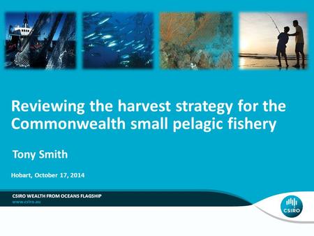 CSIRO WEALTH FROM OCEANS FLAGSHIP Reviewing the harvest strategy for the Commonwealth small pelagic fishery Tony Smith Hobart, October 17, 2014.