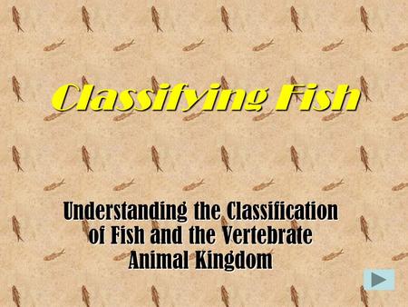 Classifying Fish Understanding the Classification of Fish and the Vertebrate Animal Kingdom.