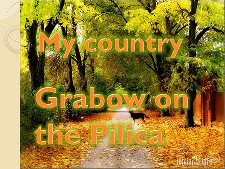 Grabow on the Pilica is a village which is situated in the kozienicki voivodeship. It is very attractive place from the point of view of many forests,