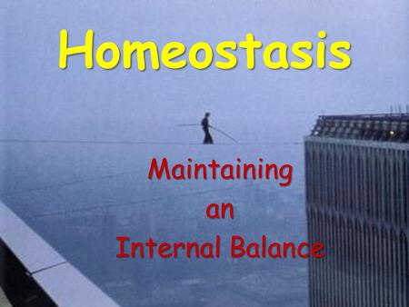 Homeostasis Maintainingan Internal Balance. Homeostasis The property of a system, either open or closed, that regulates its internal environment so as.