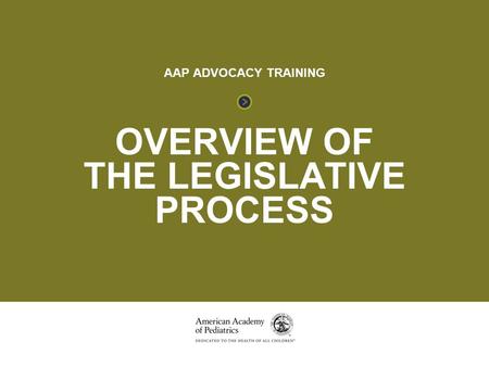 the Legislative Process