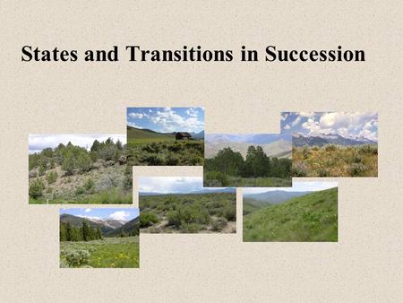 States and Transitions in Succession. Plant Community Succession (Initial Ideas – F.E. Clements) Natural Potential Large Variation Between Years Climax.