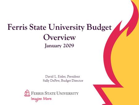 Ferris State University Budget Overview January 2009 David L. Eisler, President Sally DePew, Budget Director.