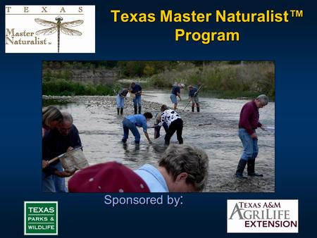 Texas Master Naturalist™ Program Sponsored by :. The Mission “ To develop corps of well-trained “Master Volunteers” to provide education, outreach and.