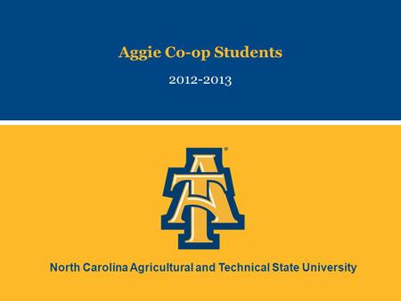 North Carolina Agricultural and Technical State University Aggie Co-op Students 2012-2013.