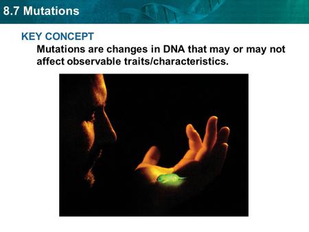 KEY CONCEPT Mutations are changes in DNA that may or may not affect observable traits/characteristics.