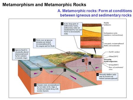 Metamorphism and Metamorphic Rocks A. Metamorphic rocks: Form at conditions between igneous and sedimentary rocks.